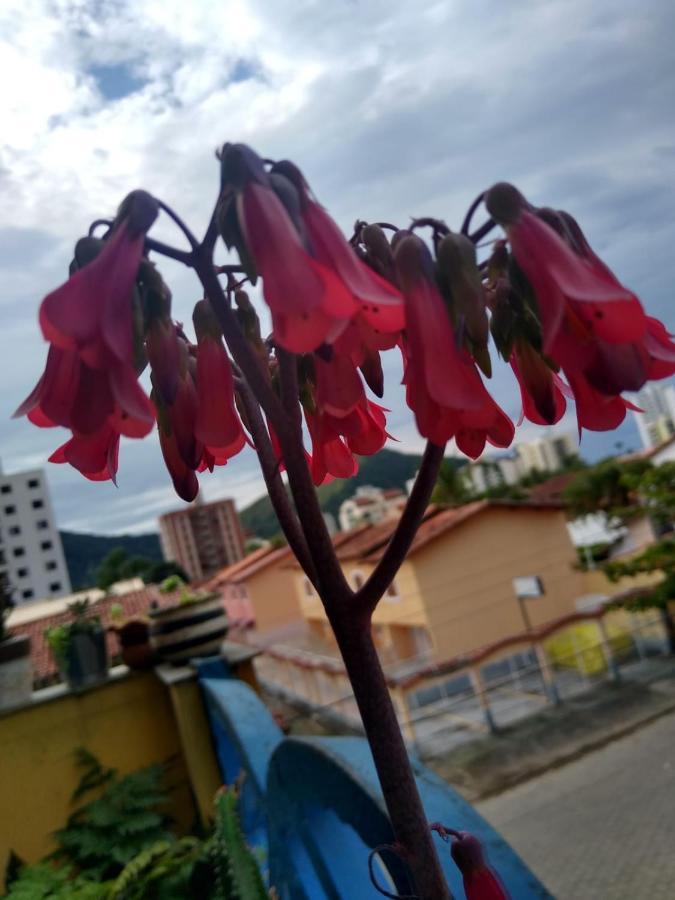Apartamento Com Piscina Na Martim De Sa Caraguatatuba Exterior photo